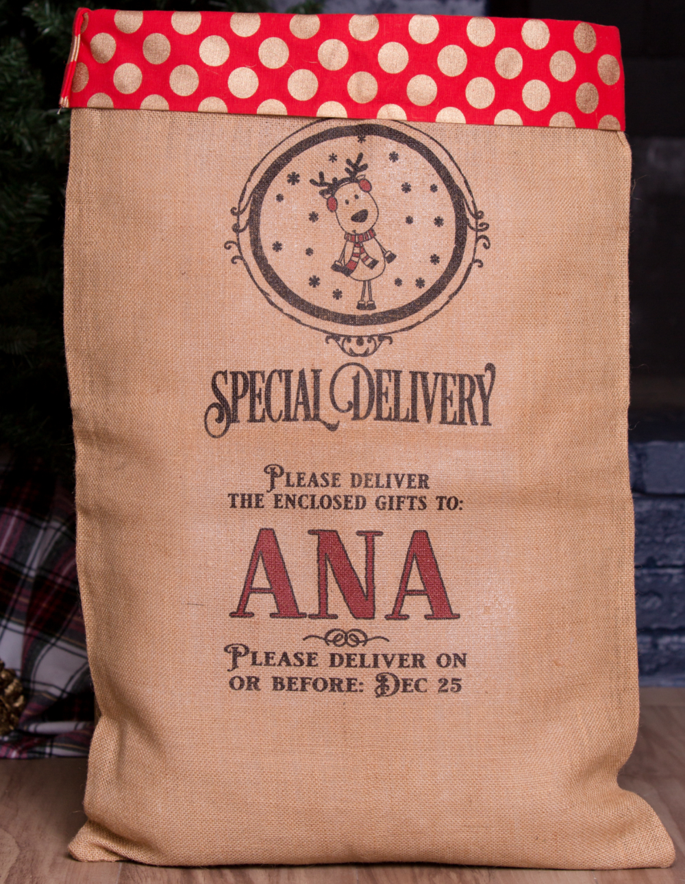 Large Santa Sack-Polka Dot