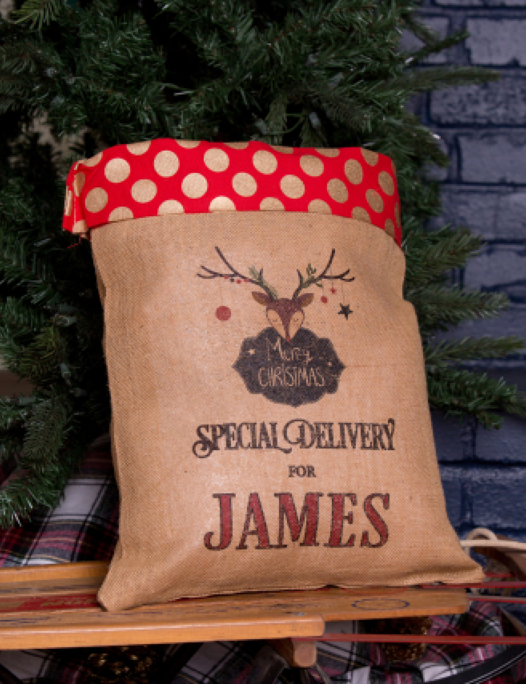 Medium Santa Sack-Polka Dot