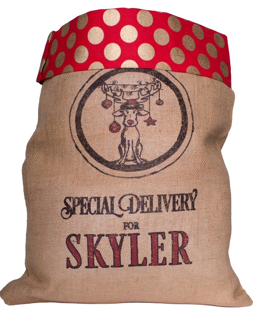 Medium Santa Sack-Polka Dot